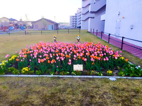 宮城県仙台市若林区 若林西復興住宅