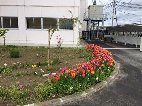 宮城県石巻市湊地区 湊中学校