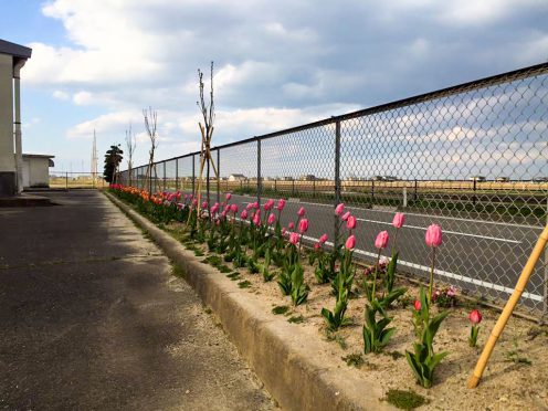 宮城県亘理町吉田地区 吉田地区交流センター